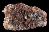 Red Calcite Crystal Cluster - Mexico #72010-1